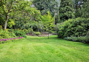 Optimiser l'expérience du jardin à Plouvain